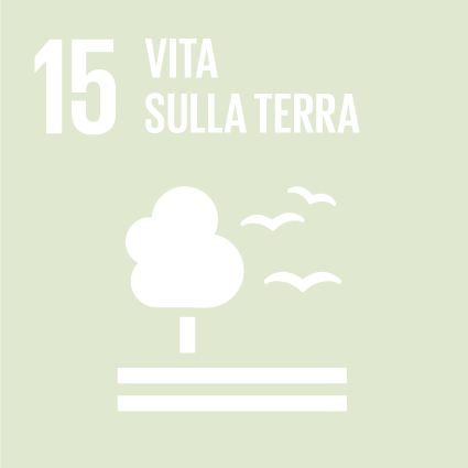obiettivi-2030-15
