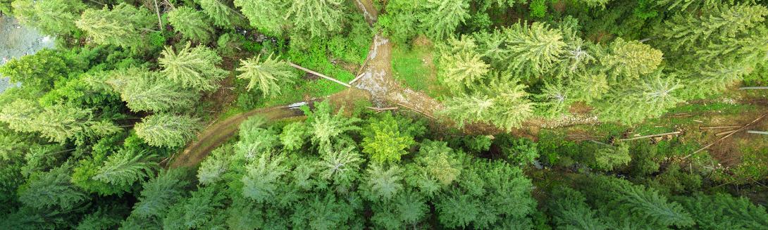 Bilancio di sostenibilità: facciamo chiarezza