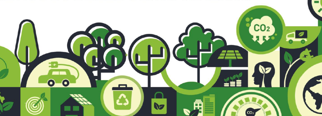 Strategia forestale regionale: il ruolo delle certificazioni