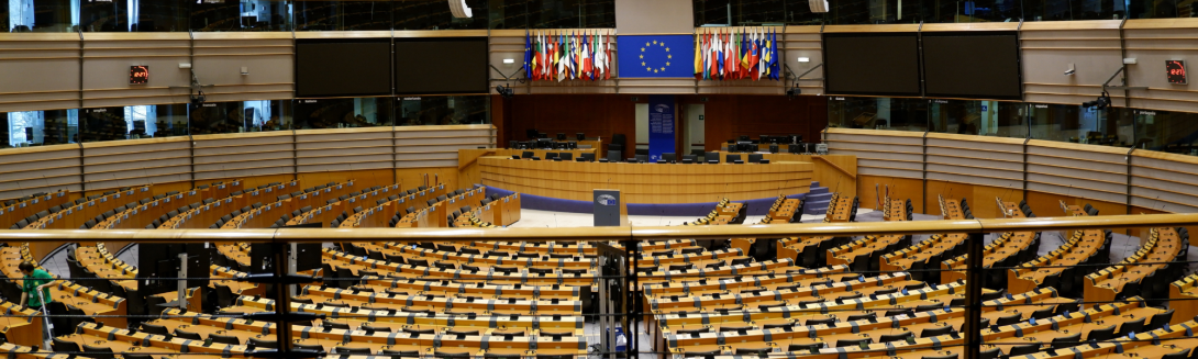 EUDR, Europarlamento approva proposta semplificazione