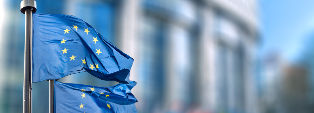 EUDR: ultimi aggiornamenti sull’attuazione del Regolamento